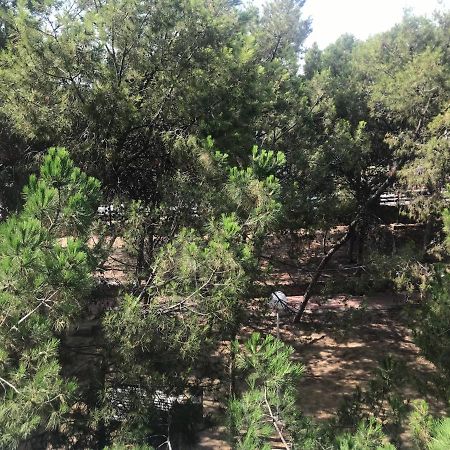 Apartamento Con Terraza, Garaje Y Piscina A 350M Playa Garrucha Luaran gambar